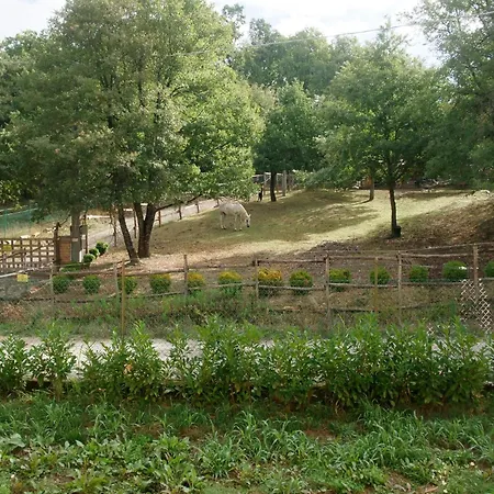 בית נופש Freistehendes Haus Mit Garten Zur Alleinigen Nutzung