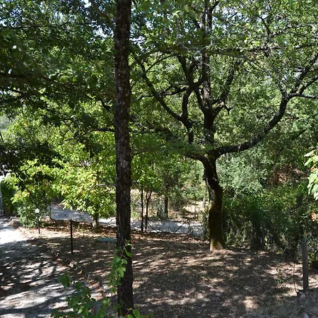 Freistehendes Haus Mit Garten Zur Alleinigen Nutzung בית נופש